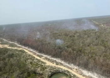 Avanza en un 70% extinción del incendio en Col. Marités en Quintana Roo