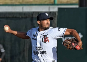 Tigres de quintana roo