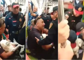 Policias bajan a hombre con perro del metro