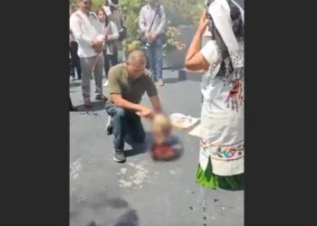 Sacrificio animal en Senado de la República durante ofrenda causa gran polémica