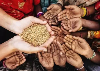 Inseguridad alimentaria empeora en el mundo: 282 millones de personas necesitan ayuda de emergencia