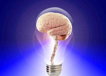 ¿Somos inteligentes?
