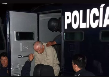 Succar Kuri podría quedar en libertad