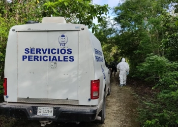Localizan osamenta en la carretera Mérida-Cancún