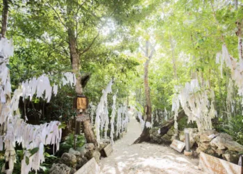 ¡Participa en la carrera familiar santuario María Desatadora de Nudos en Cancún!