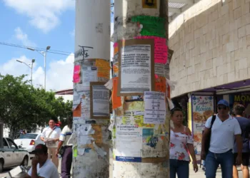 Contaminación viual en cancún