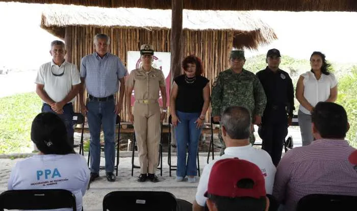 Cozumel inicia protección de tortugas