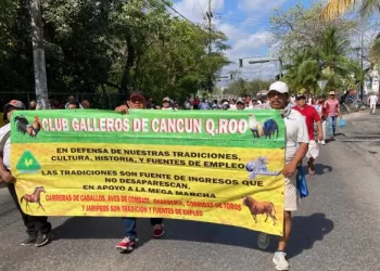 Criadores de gallos y toros alzan la voz contra ley de bienestar animal