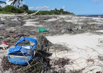 Lucha contra la basura en las playas de Mahahual