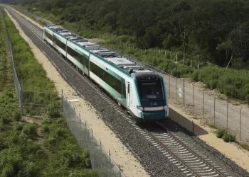 SEDENA y Transportistas: Claridad sobre los Pagos en la Construcción del Tren Maya en Quintana Roo
