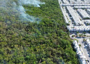 Incendio forestal en Villas del Sol controlado en un 65%