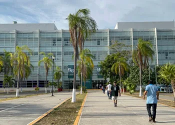 IMSS Quintana Roo incorpora especialidad en hematología pediátrica
