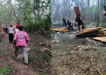 Tala clandestina en Tihosuco alarma a ejidatarios