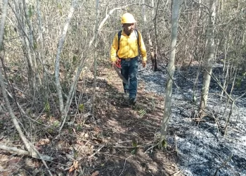 incendios