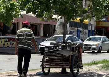 Recicla