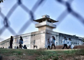 ONU-DH urge a Claudia Sheinbaum a mejorar condiciones en cárceles mexicanas