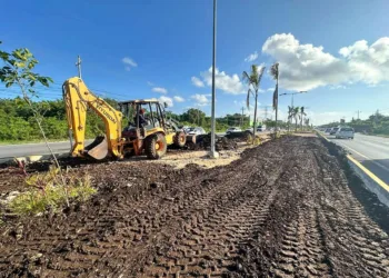 Solidaridad continúa renovando el camellón de la carretera federal