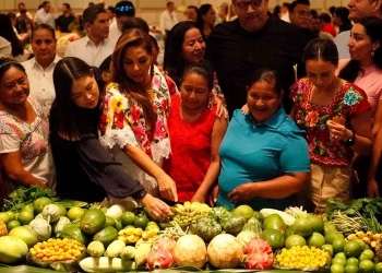 171 millones de pesos revitalizan economía social en Q Roo 1 171 millones de pesos revitalizan economía social en Q Roo