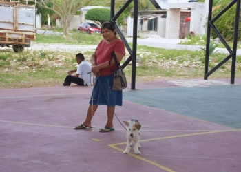 esterilización