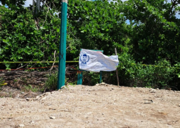 Con acciones contundentes AGEPRO protege el patrimonio de las y los quintanarroenses