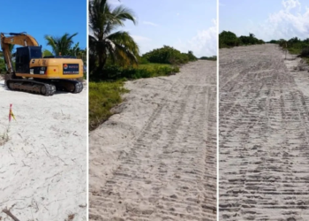 Denuncian destrucción de dunas costeras municipio de Yucatán