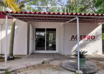 Recibe AGEPRO documentación para regularización de propiedades en Tulum