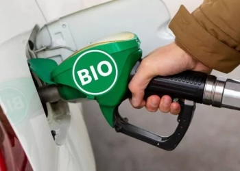 Combustible renovable, Día Internacional del Biodiésel