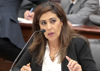 Claudia Zavala propondrá cambios en la fórmula de asignación de diputados plurinominales