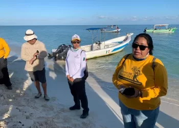 Reforestan duna costera en Cozumel con uvas de mar