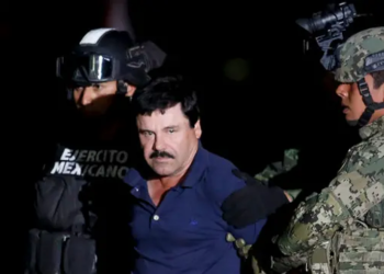 Coincidencias en las detenciones del cártel de Sinaloa
