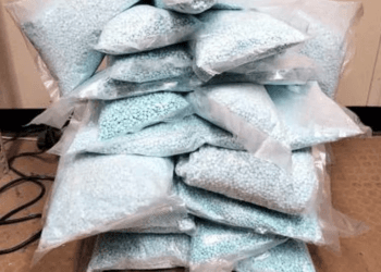 Golpe al narco CBP detienen millonarios cargamentos de fentanilo