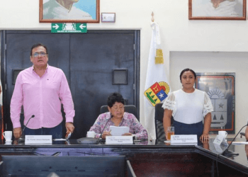 Iniciativa de reforma a la ley de salud mental y apoyo juvenil