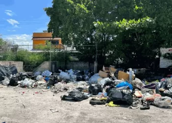 Crisis de basureros clandestinos en Cancún: Aumento del 223% en siete meses