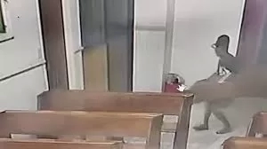 Roban y agreden a mujer en pleno rezo en Acayucan, Veracruz