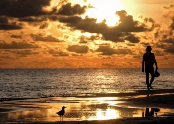 Equinoccio de otoño 2024: Un balance entre luz y oscuridad 2 Equinoccio de otoño 2024: Un balance entre luz y oscuridad