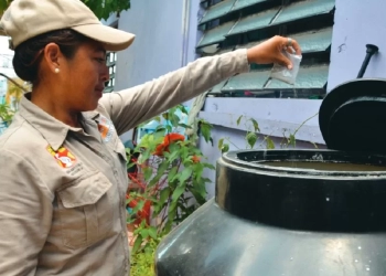 Quintana Roo avanza en la lucha contra el dengue