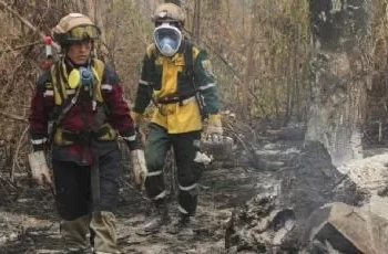 Incendios en Sudamérica rompen récord en 2024: Sequía y cambio climático