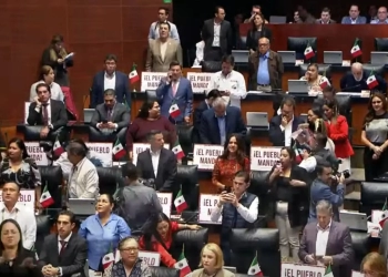 Senado
