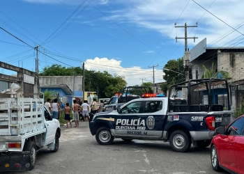Lili Campos inaugura zona de adopción y quirófano canino móvil en Playa del Carmen