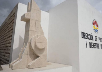 Iniciaran construcción del nuevo centro de Bienestar Animal en Cancún