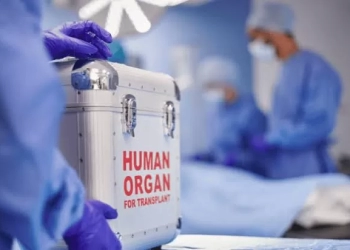 Más de 20,000 personas en espera de donantes de órganos en México