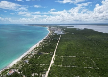 Nuevo bulevar turístico Cancún-Costa Mujeres: Un proyecto transformador