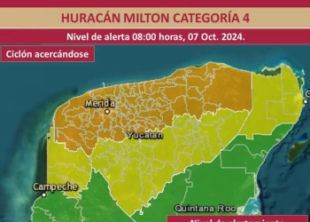 categoría 5