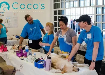 Coco’s Bienestar Animal lanza su 5ª campaña de esterilización gratuita