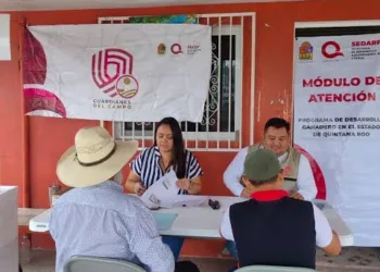 Mara Lezama destina más de 7 millones de pesos para el sector ganadero de Quintana Roo