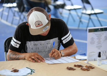 Solidaridad anuncia 400 vacantes en diversas empresas del municipio