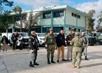 Profepa Clausura 11 Aserraderos Ilegales en Operativos Nacionales