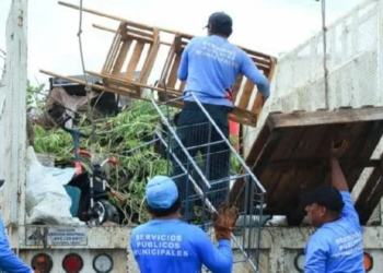 Brotan sospechosos casos de dengue