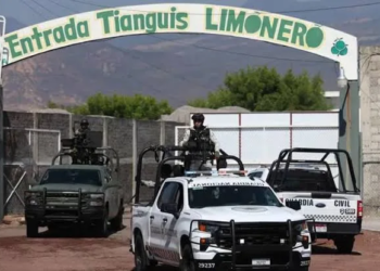 66 Detenidos en lucha contra extorsión a limoneros de Michoacán