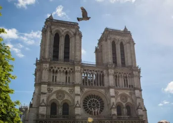 Reapertura de la catedral de Notre Dame tras 5 años de restauración